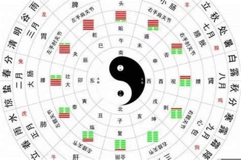 算命 五行|生辰八字算命、五行喜用神查询（免费测算）